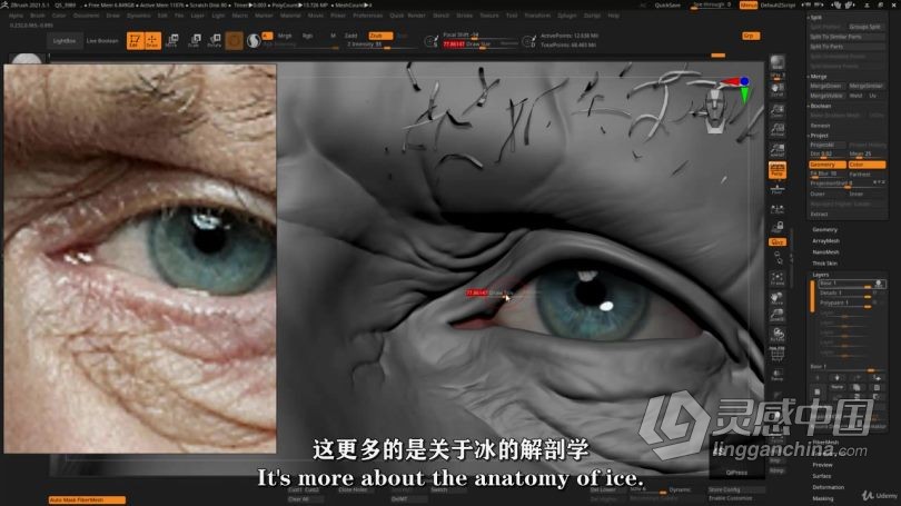 Zbrush教程 Zbrush超逼真好莱坞明星数字雕刻制作视频教程中文字幕  灵感中国网 www.lingganchina.com
