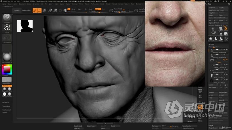 Zbrush教程 Zbrush超逼真好莱坞明星数字雕刻制作视频教程中文字幕  灵感中国网 www.lingganchina.com