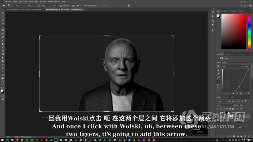 Zbrush教程 Zbrush超逼真好莱坞明星数字雕刻制作视频教程中文字幕  灵感中国网 www.lingganchina.com