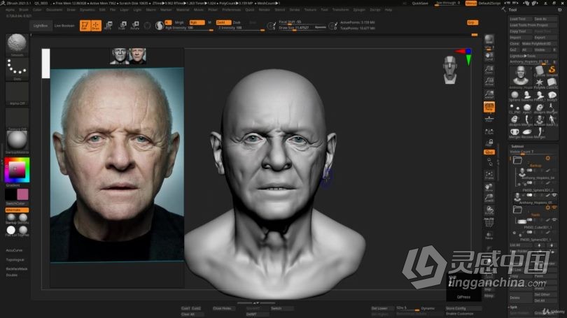 Zbrush教程 Zbrush超逼真好莱坞明星数字雕刻制作视频教程中文字幕  灵感中国网 www.lingganchina.com