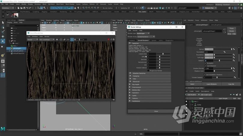 Zbrush教程 Zbrush单相机扫描摄影测量数字角色模型制作视频教程  灵感中国社区 www.lingganchina.com