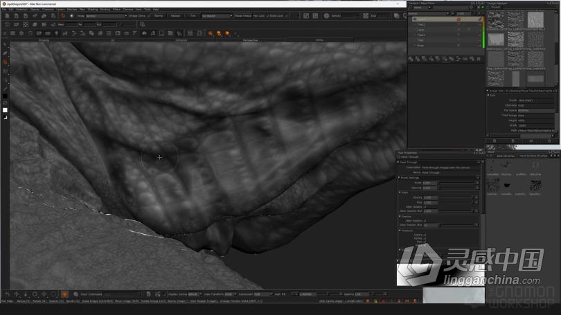 Zbrush教程 Zbrush超现实概念生物毒蛇龙完整制作流程视频教程  灵感中国网 www.lingganchina.com