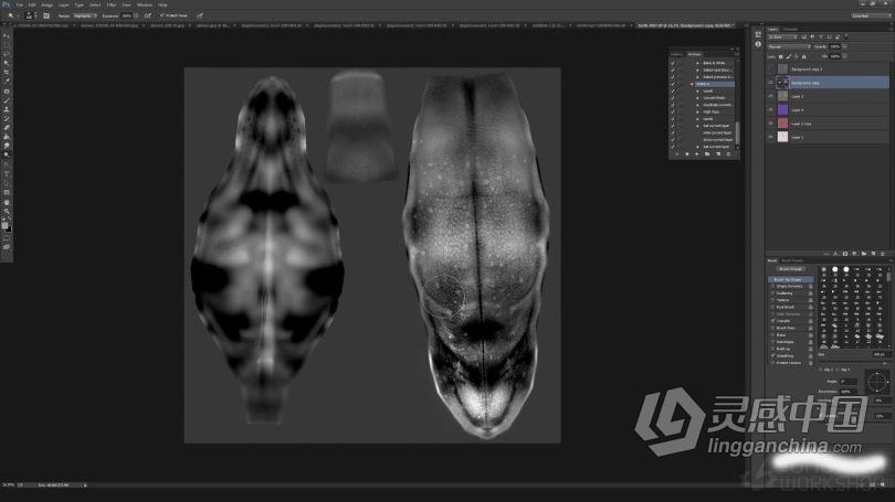 Zbrush教程 Zbrush超现实概念生物毒蛇龙完整制作流程视频教程  灵感中国网 www.lingganchina.com