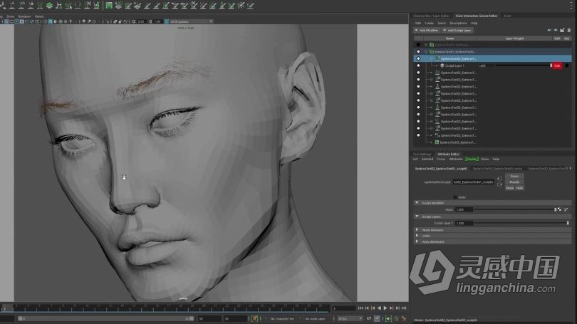Zbrush教程 Zbrush逼真角色创建立体模型全流程视频教程  灵感中国网 www.lingganchina.com