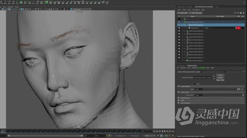 Zbrush教程 Zbrush逼真角色创建立体模型全流程视频教程