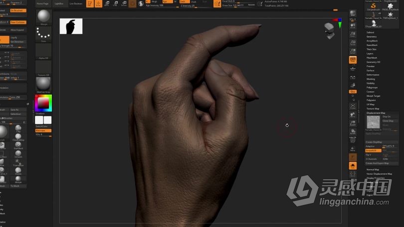 Zbrush教程 Zbrush逼真角色创建立体模型全流程视频教程  灵感中国网 www.lingganchina.com