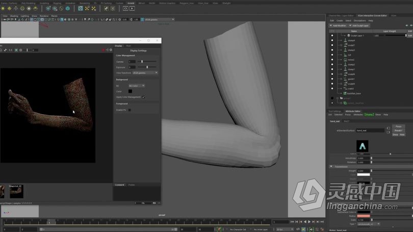 Zbrush教程 Zbrush逼真角色创建立体模型全流程视频教程  灵感中国网 www.lingganchina.com