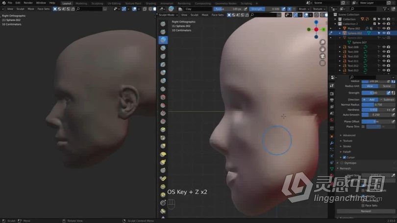 Blender教程 Blender人物头部数字雕刻技术训练视频教程  灵感中国网 www.lingganchina.com
