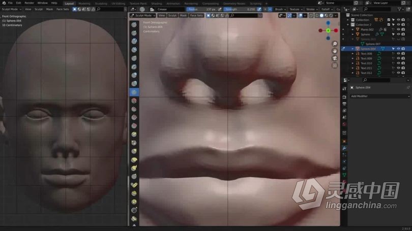Blender教程 Blender人物头部数字雕刻技术训练视频教程  灵感中国网 www.lingganchina.com