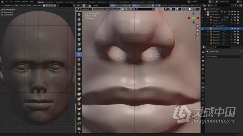 Blender教程 Blender人物头部数字雕刻技术训练视频教程  灵感中国社区 www.lingganchina.com