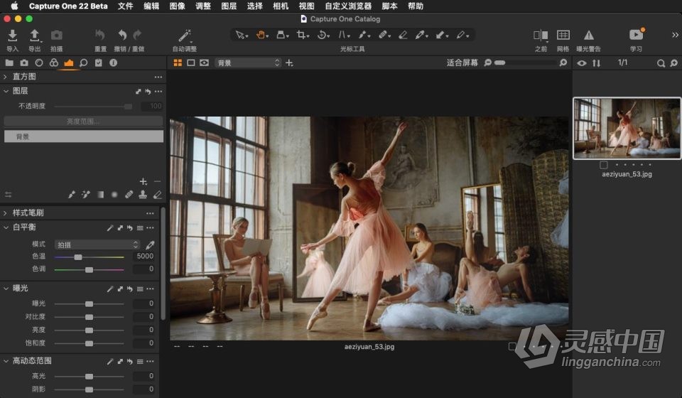 飞思软件RAW图像处理软件 Capture One 22 Pro Beta v15.0.0.193 mac中文版  灵感中国社区 www.lingganchina.com