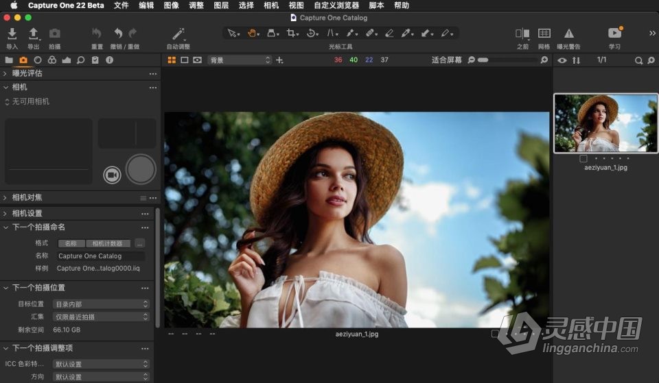 飞思软件RAW图像处理软件 Capture One 22 Pro Beta v15.0.0.193 mac中文版  灵感中国网 www.lingganchina.com