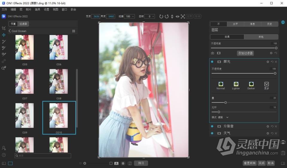 最佳照片效果调色滤镜插件 ON1 Effects 2022.5 v16.5.1.12526 中文版 WIN系统下载  灵感中国社区 www.lingganchina.com