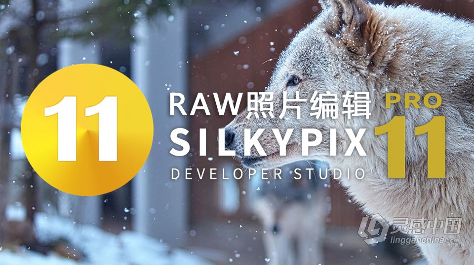 RAW照片编辑软件 SILKYPIX Developer Studio Pro 11.0.2.0 WIN版 中文汉化版下载  灵感中国社区 www.lingganchina.com