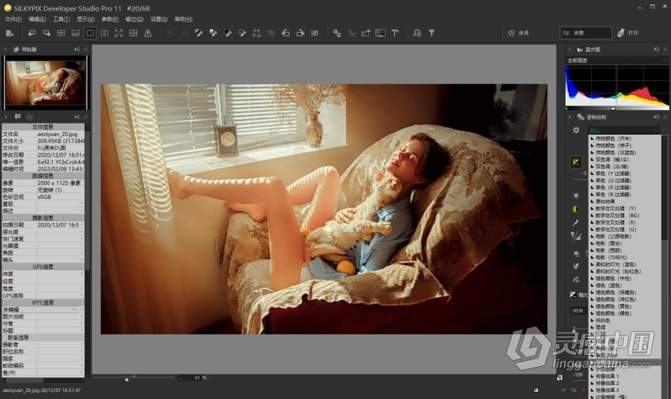 RAW照片编辑软件 SILKYPIX Developer Studio Pro 11.0.2.0 WIN版 中文汉化版下载  灵感中国网 www.lingganchina.com