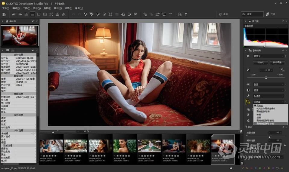 RAW照片编辑软件 SILKYPIX Developer Studio Pro 11.0.2.0 WIN版 中文汉化版下载  灵感中国网 www.lingganchina.com