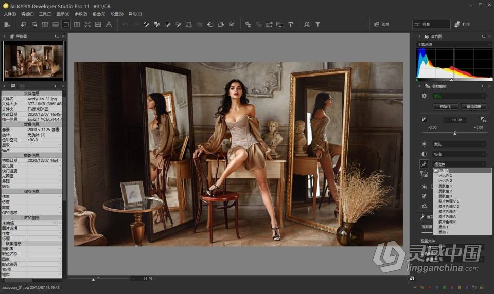 RAW照片编辑软件 SILKYPIX Developer Studio Pro 11.0.2.0 WIN版 中文汉化版下载  灵感中国网 www.lingganchina.com