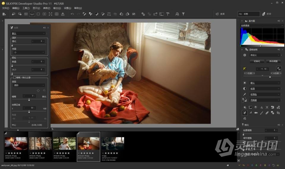 RAW照片编辑软件 SILKYPIX Developer Studio Pro 11.0.2.0 WIN版 中文汉化版下载  灵感中国社区 www.lingganchina.com