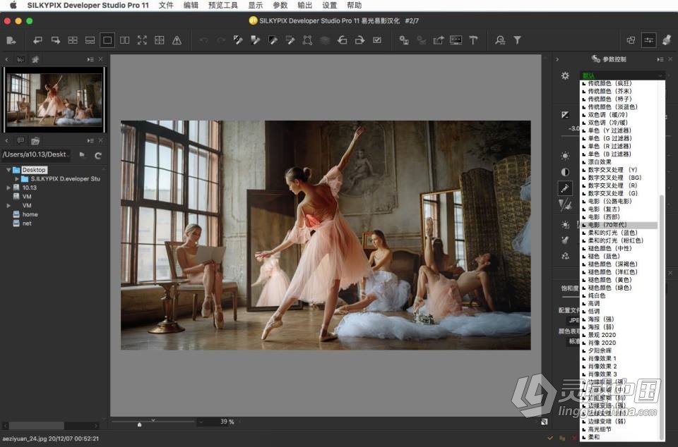 RAW照片编辑软件 SILKYPIX Developer Studio Pro 11.0.2.0 macOS中文汉化版下载  灵感中国社区 www.lingganchina.com