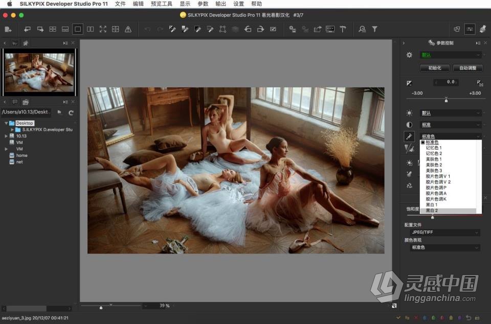 RAW照片编辑软件 SILKYPIX Developer Studio Pro 11.0.2.0 macOS中文汉化版下载  灵感中国网 www.lingganchina.com