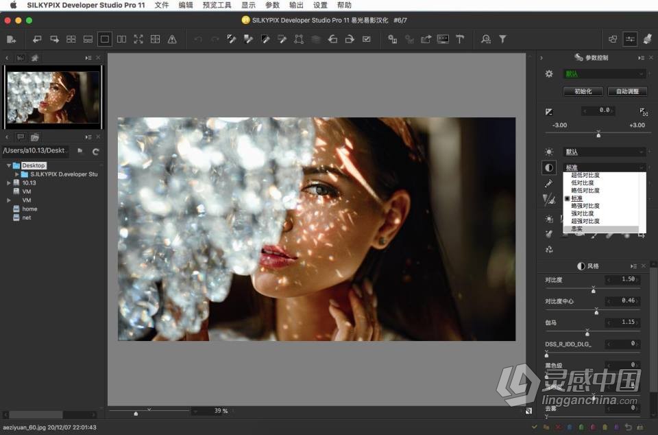 RAW照片编辑软件 SILKYPIX Developer Studio Pro 11.0.2.0 macOS中文汉化版下载  灵感中国网 www.lingganchina.com