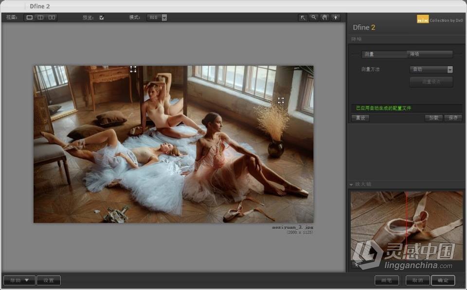 PS插件 Nik Collection 4.3.4 for Win 中文破解版 Nik插件滤镜套装下载  灵感中国网 www.lingganchina.com