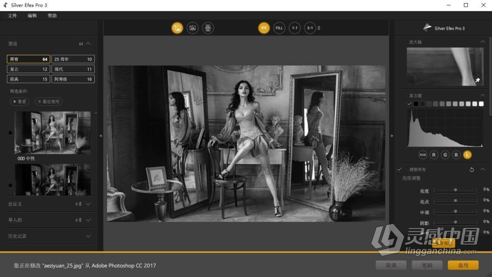 PS插件 Nik Collection 4.3.4 for Win 中文破解版 Nik插件滤镜套装下载  灵感中国网 www.lingganchina.com