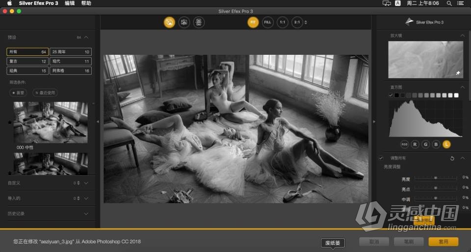 Nik Collection 4.3.2中文版 (PS插件滤镜套装)Nik Collection by DxO 4.3.2 macOS版本下载  灵感中国网 www.lingganchina.com