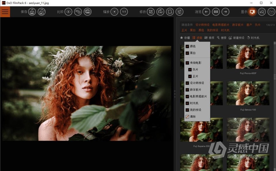 PS滤镜插件创意胶片模拟软件 DxO FilmPack 6.1.0.199 中文版 WIN独立版+PS滤镜  灵感中国网 www.lingganchina.com