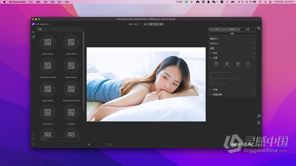 图片无损放大打印软件 ON1 Resize AI 2022.5 v16.5.1.12526 for mac 中文版下载  灵感中国社区 www.lingganchina.com