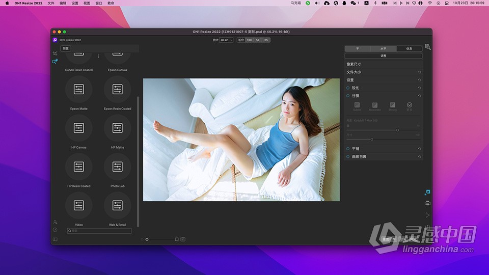 图片无损放大打印软件 ON1 Resize AI 2022.5 v16.5.1.12526 for mac 中文版下载  灵感中国网 www.lingganchina.com