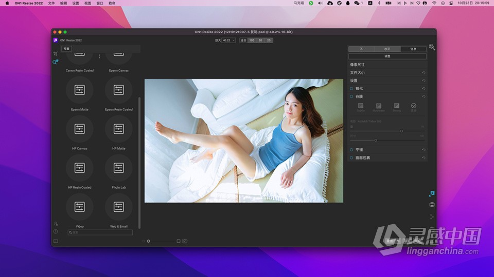 图片无损放大打印软件 ON1 Resize AI 2022.5 v16.5.1.12526 for mac 中文版下载  灵感中国社区 www.lingganchina.com