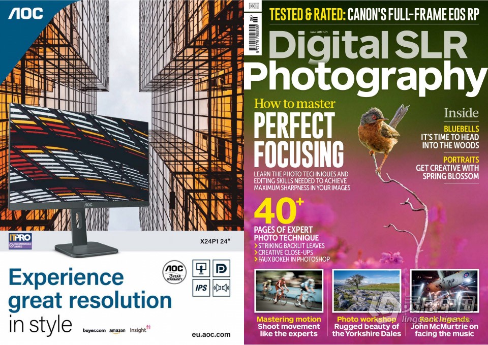 Digital SLR Photography - 数码单反摄影 - 2019年全年刊合集1-12期  灵感中国网 www.lingganchina.com