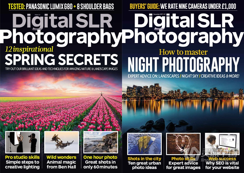 Digital SLR Photography - 数码单反摄影 - 2017年全年刊合集1-12期  灵感中国网 www.lingganchina.com
