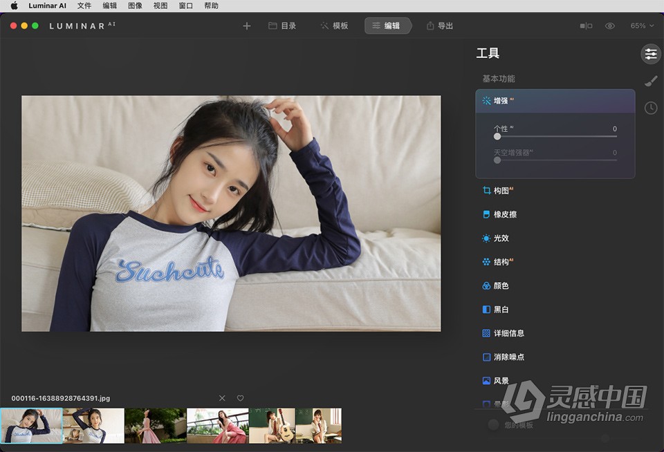 人工智能照片编辑软件/PS插件 Luminar AI 1.5.4.13160 中文版 Mac版本下载  灵感中国网 www.lingganchina.com