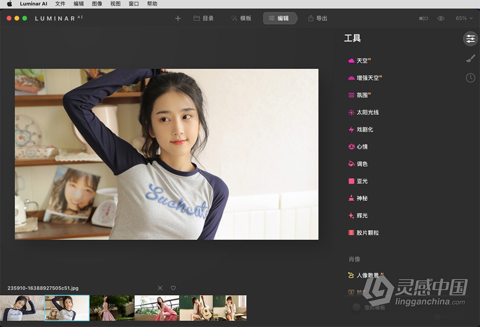 人工智能照片编辑软件Luminar AI 1.5.2 (11174) for Mac中文激活版下载  灵感中国社区 www.lingganchina.com