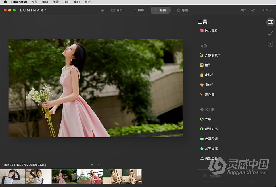 人工智能照片编辑软件/PS插件 Luminar AI 1.5.4.13160 中文版 Mac版本下载  灵感中国网 www.lingganchina.com