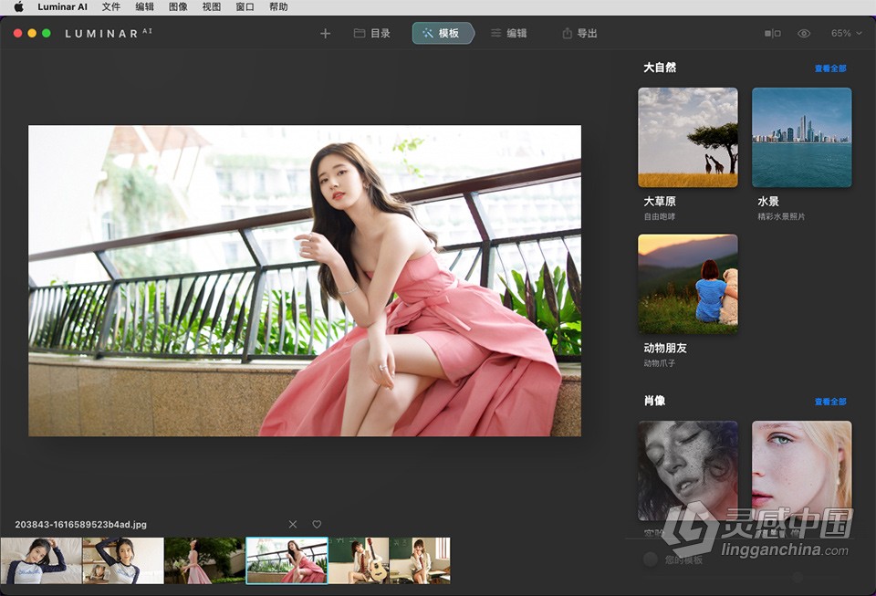 人工智能照片编辑软件/PS插件 Luminar AI 1.5.4.13160 中文版 Mac版本下载  灵感中国社区 www.lingganchina.com