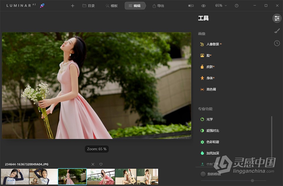 人工智能照片编辑软件 Luminar AI 1.5.2 (9370) Win中文激活版下载  灵感中国网 www.lingganchina.com