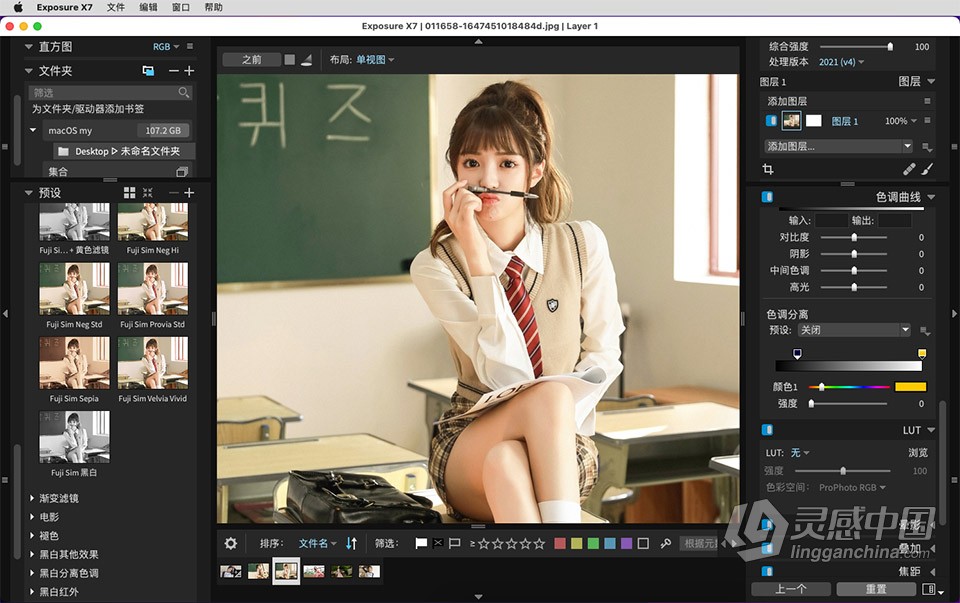 Exposure X7 Mac 无损RAW照片编辑调色软件 Exposure X7 v7.1.5.197 macOS汉化版下载  灵感中国网 www.lingganchina.com
