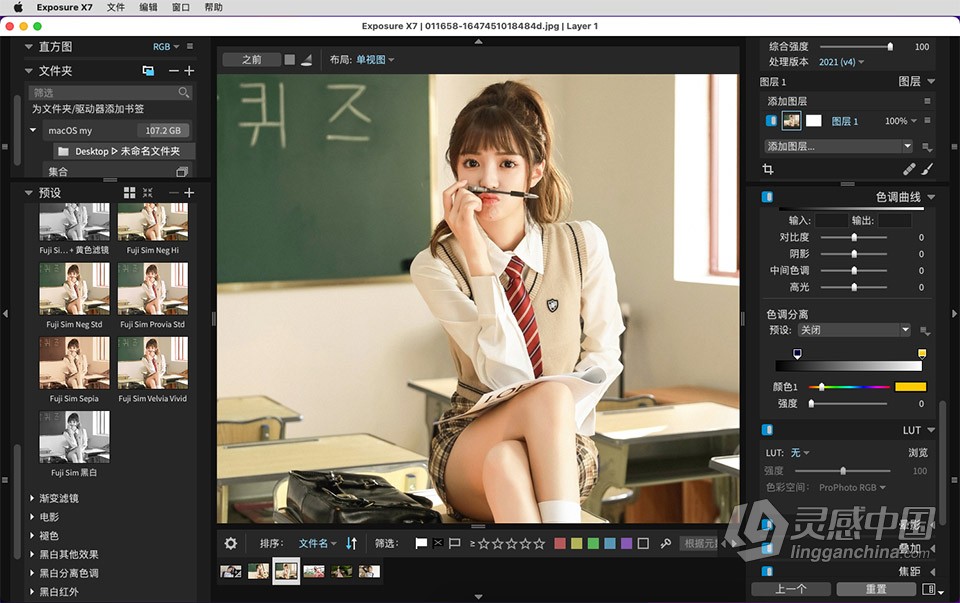 Exposure X7 Mac 无损RAW照片编辑调色软件 Exposure X7 v7.1.5.197 macOS汉化版下载  灵感中国社区 www.lingganchina.com