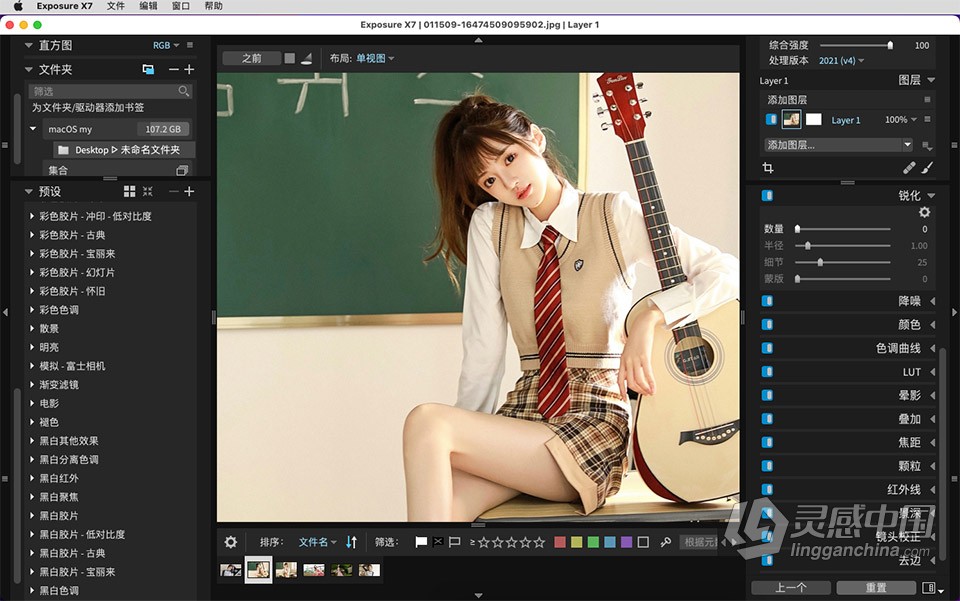 无损RAW图像编辑调色软件 Exposure X7 v7.1.3.186 macOS 中文汉化版下载  灵感中国社区 www.lingganchina.com