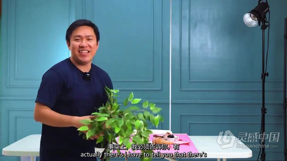 手机摄影-智能手机彩色主题美食照片摄影布光构图课程 中英字幕  灵感中国网 www.lingganchina.com
