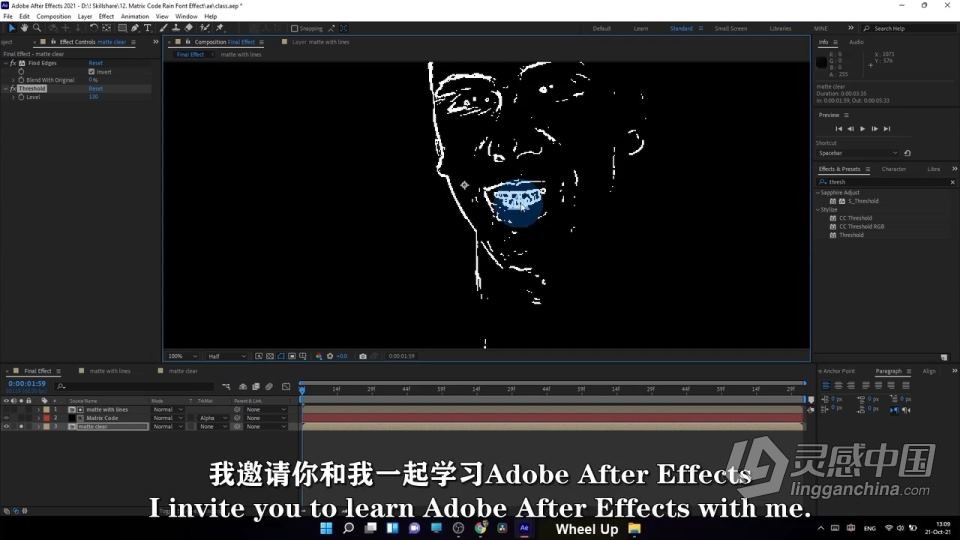 AE黑客帝国矩阵代码视觉特效实例制作视频教程 中文字幕  灵感中国网 www.lingganchina.com