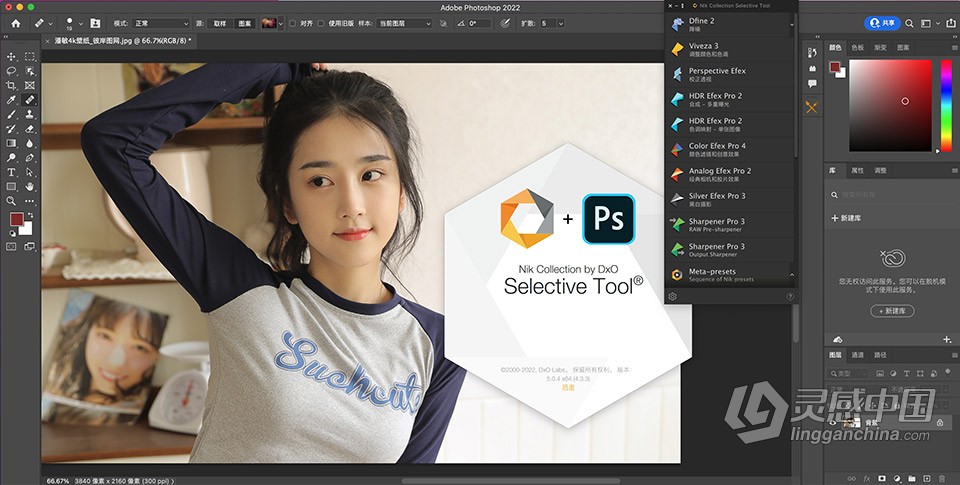 Nik Collection 4.3.4 for Mac 中文激活版 Nik插件滤镜套装下载  灵感中国网 www.lingganchina.com