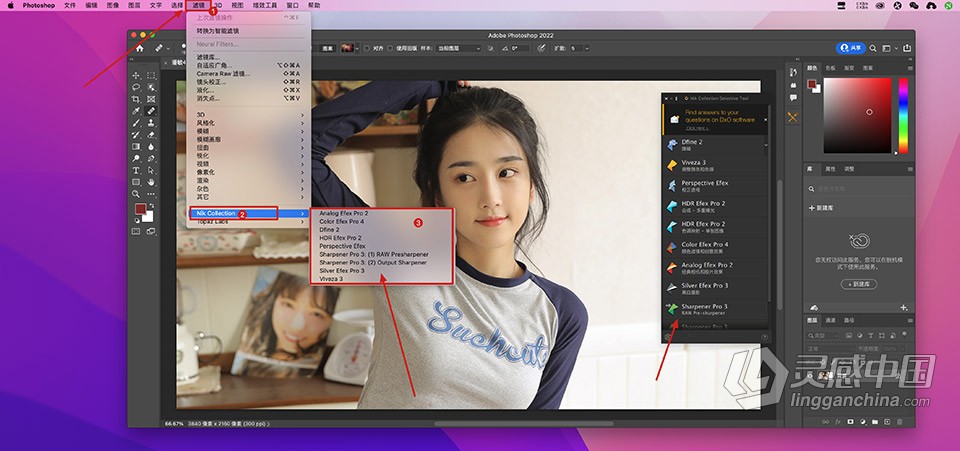 Nik Collection 4.3.4 for Mac 中文激活版 Nik插件滤镜套装下载  灵感中国网 www.lingganchina.com