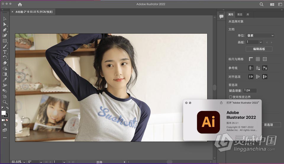 Ai 2022苹果版 Illustrator 2022 v26.3.1 for Mac 中文激活版 intel/M1通用  灵感中国社区 www.lingganchina.com