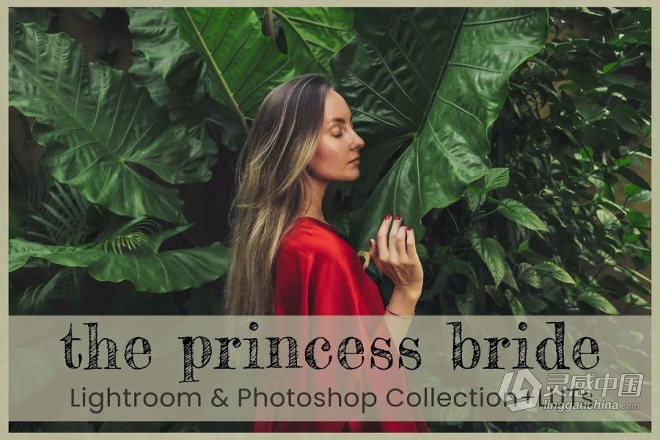 外拍森系人像后期调色Lightroom预设 Princess Bride Lightroom Presets  灵感中国网 www.lingganchina.com