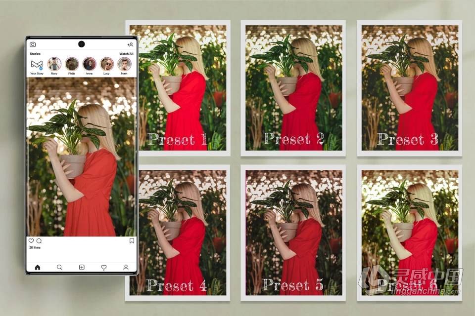 外拍森系人像后期调色Lightroom预设 Princess Bride Lightroom Presets  灵感中国网 www.lingganchina.com