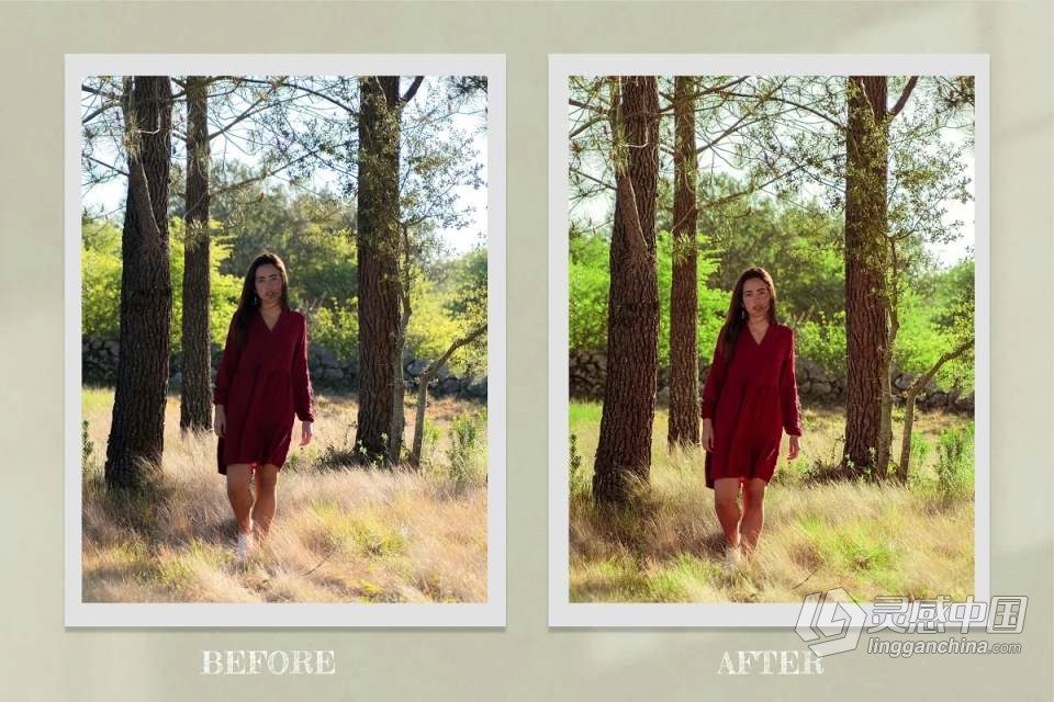 外拍森系人像后期调色Lightroom预设 Princess Bride Lightroom Presets  灵感中国网 www.lingganchina.com